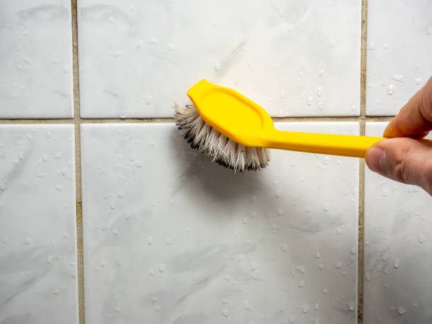 Best Mold Removal Near Me  in Cupertino, CA